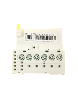 Módulo electrónico...