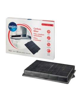 Filtro de carbón de Campana...