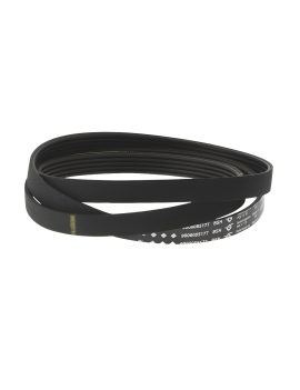 Correa de transmisión de...